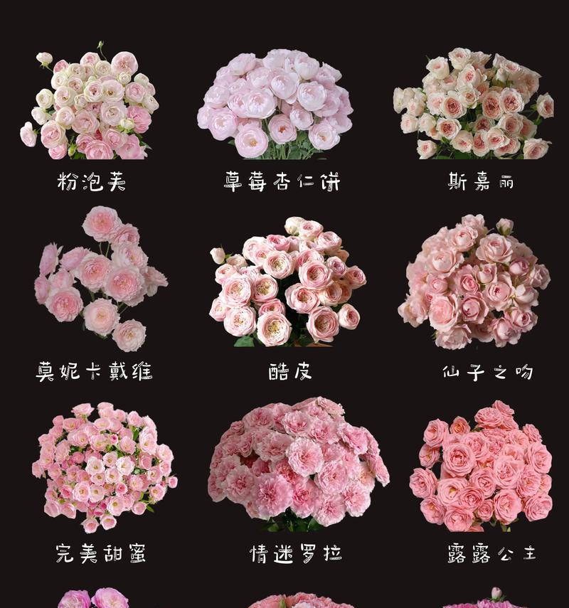 12朵粉色玫瑰传递了哪些情感给闺蜜？送花时应注意什么？