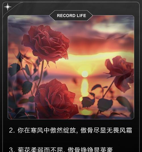 古代文人如何赞美菊花？有哪些著名的句子？