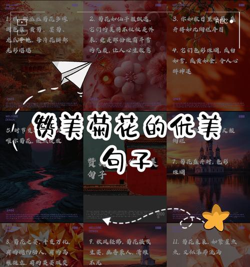 古代文人如何赞美菊花？有哪些著名的句子？