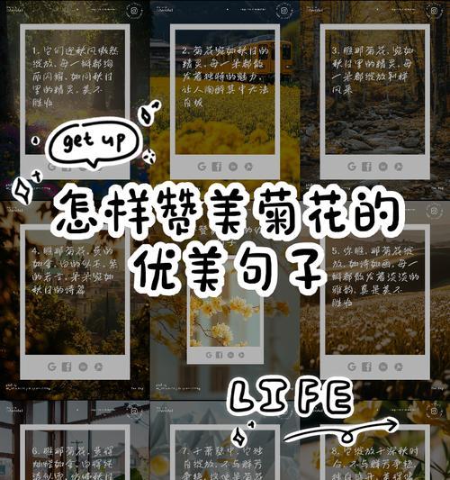 古代文人如何赞美菊花？有哪些著名的句子？