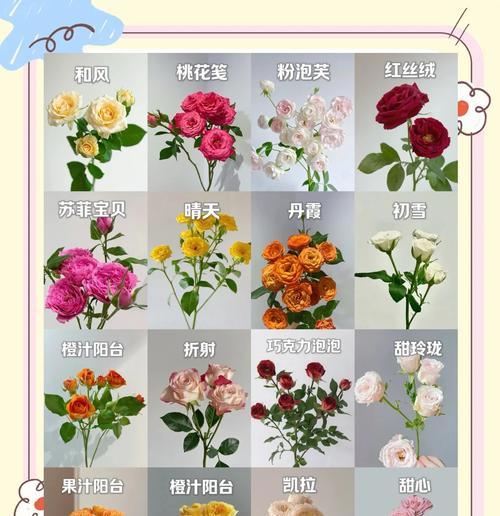 3268朵玫瑰花代表什么？