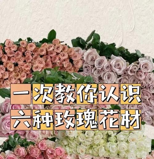 5朵玫瑰花的象征意义是什么？