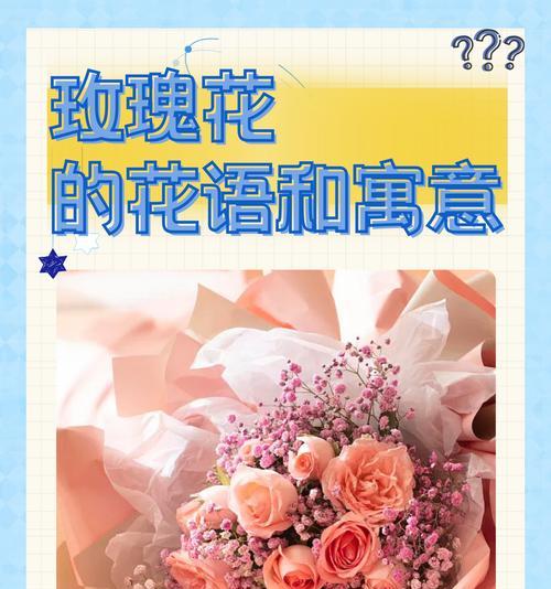 七朵玫瑰加两朵百合的寓意是什么？含义有何特别？