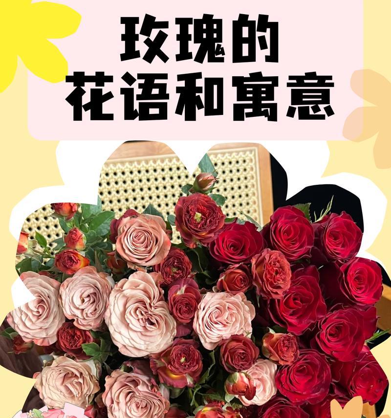14支玫瑰花语是什么？