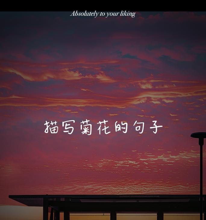 如何用50字简单开头描写菊花？优美句子如何编写？
