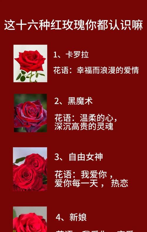 情人节微信送玫瑰给女情人的含义是什么？