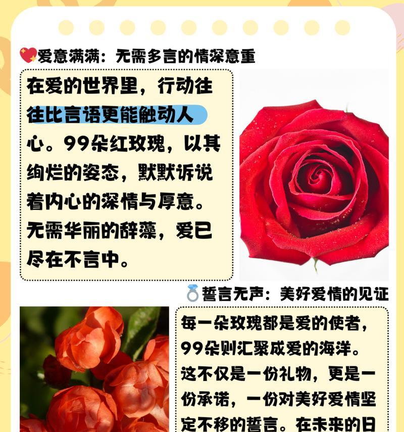 女生看玫瑰花代表什么意义？