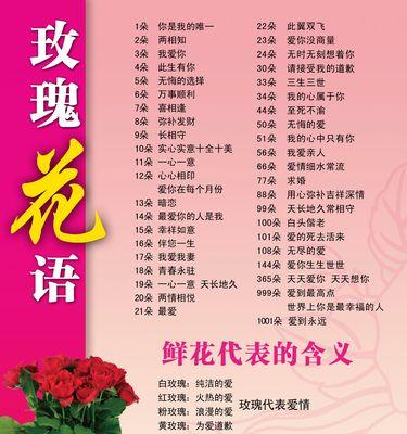 六朵玫瑰加五朵百合的花语是什么？图片中如何解读？