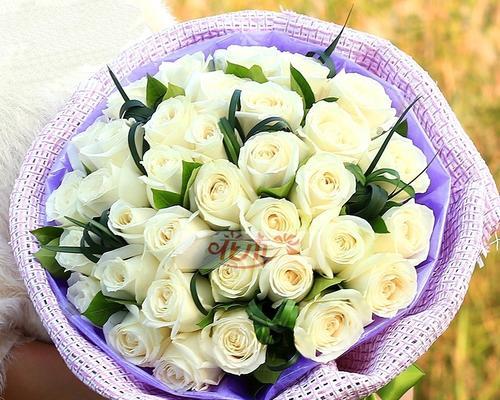 3416朵玫瑰花代表什么？如何表达？