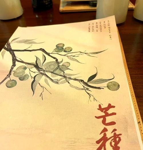 红豆通常象征着什么情感？