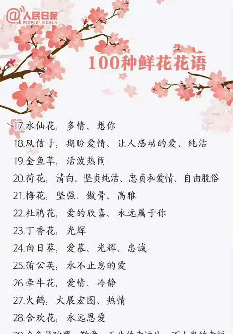 精品玫瑰代表了哪种花语？它通常用来表达什么情感？