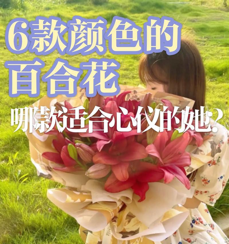 沁心百合的花语有何深意？