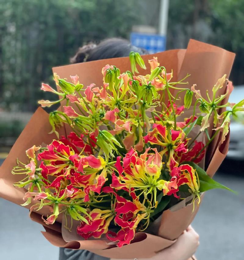 沁心百合的花语有何深意？