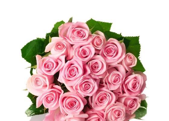 14粉色玫瑰的花语是什么意思？14朵粉色玫瑰代表什么情感？