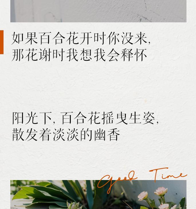 洒脱百合的花语代表什么？