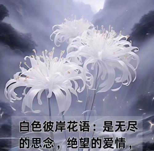 哪种花象征着分手？