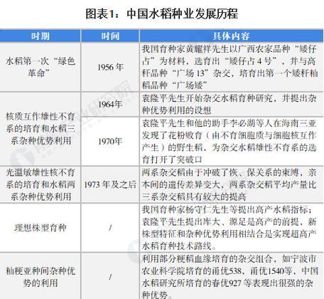 水稻繁殖特点是什么意思？如何影响产量？