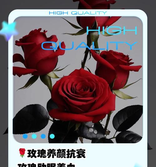 玫瑰花恐怖歌谣背后隐藏着什么含义？它传达了怎样的信息？