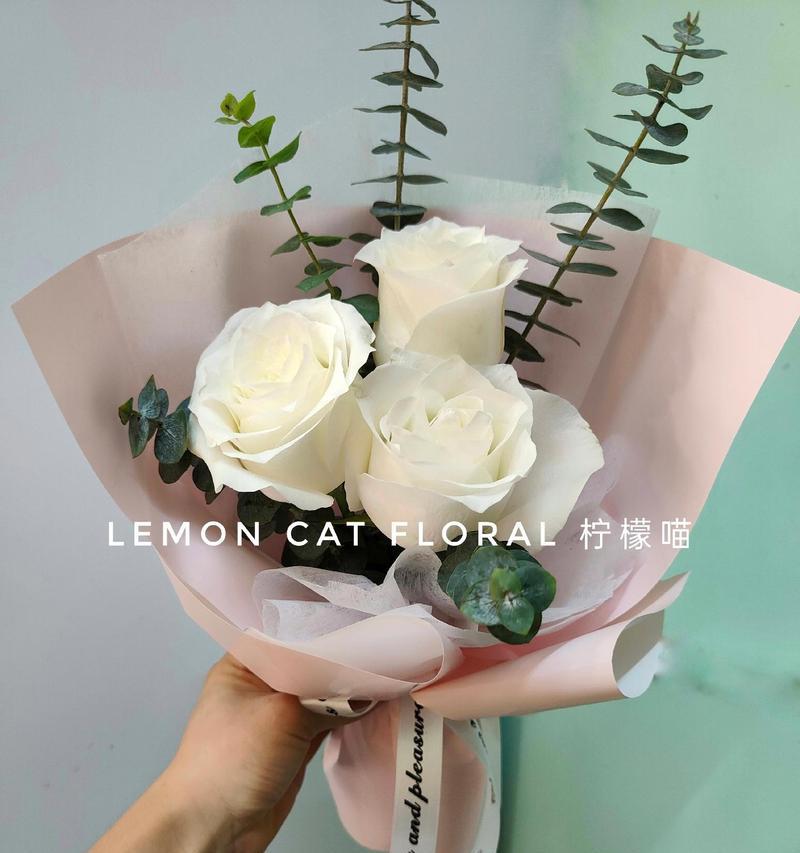猫咪偏爱白玫瑰有何深层含义？