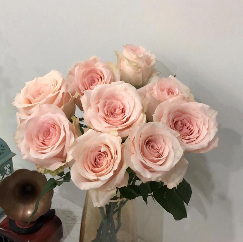 双鱼座男生送玫瑰花有何深意？