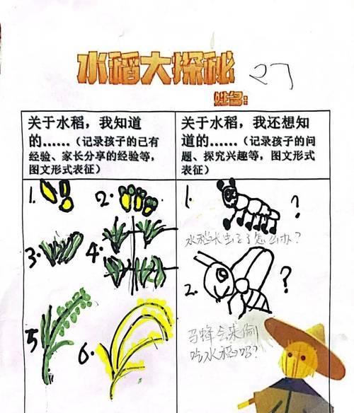 假水稻在稻田中是什么作用？假水稻的含义是什么？