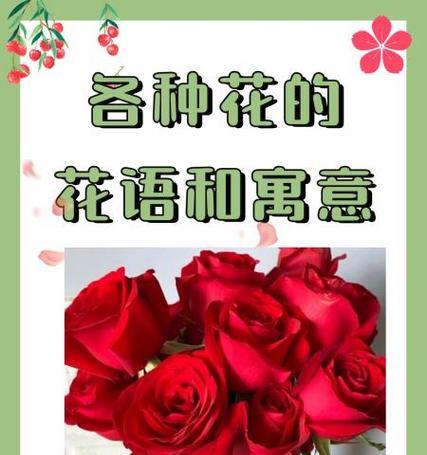 各种花的花语分别是什么？了解花语对送花有何帮助？