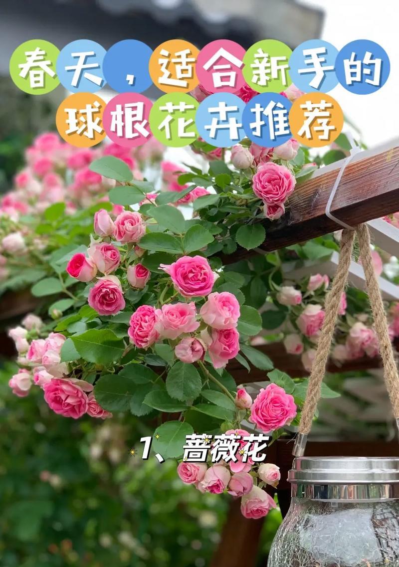 花卉种植的定义是什么意思？它包含哪些基本要素？