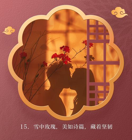 为何说雪做不成玫瑰花？