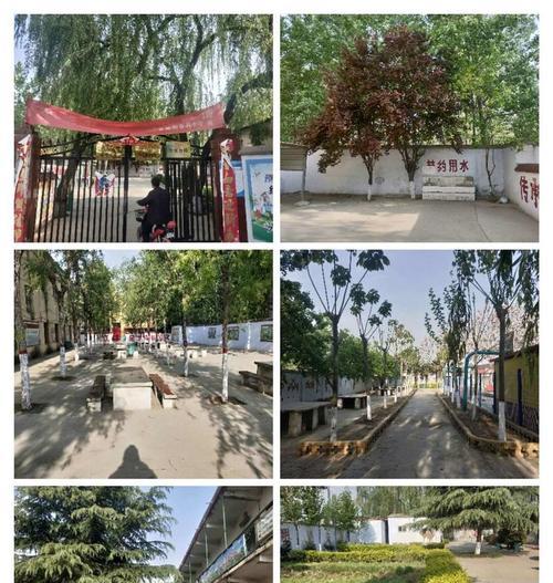 辛勤地吞食着蚜虫辛勤有何含义？这种行为象征着什么？
