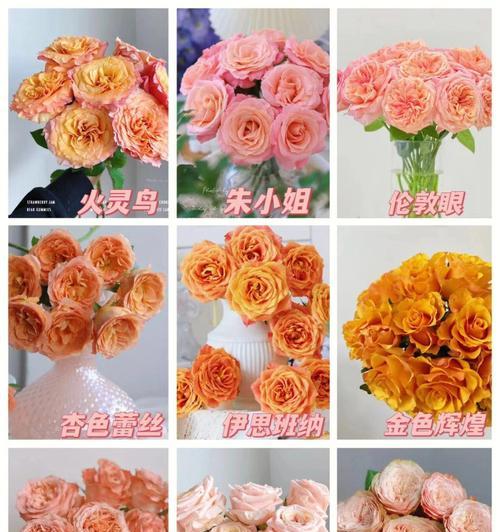38节送黄色玫瑰花代表什么含义？