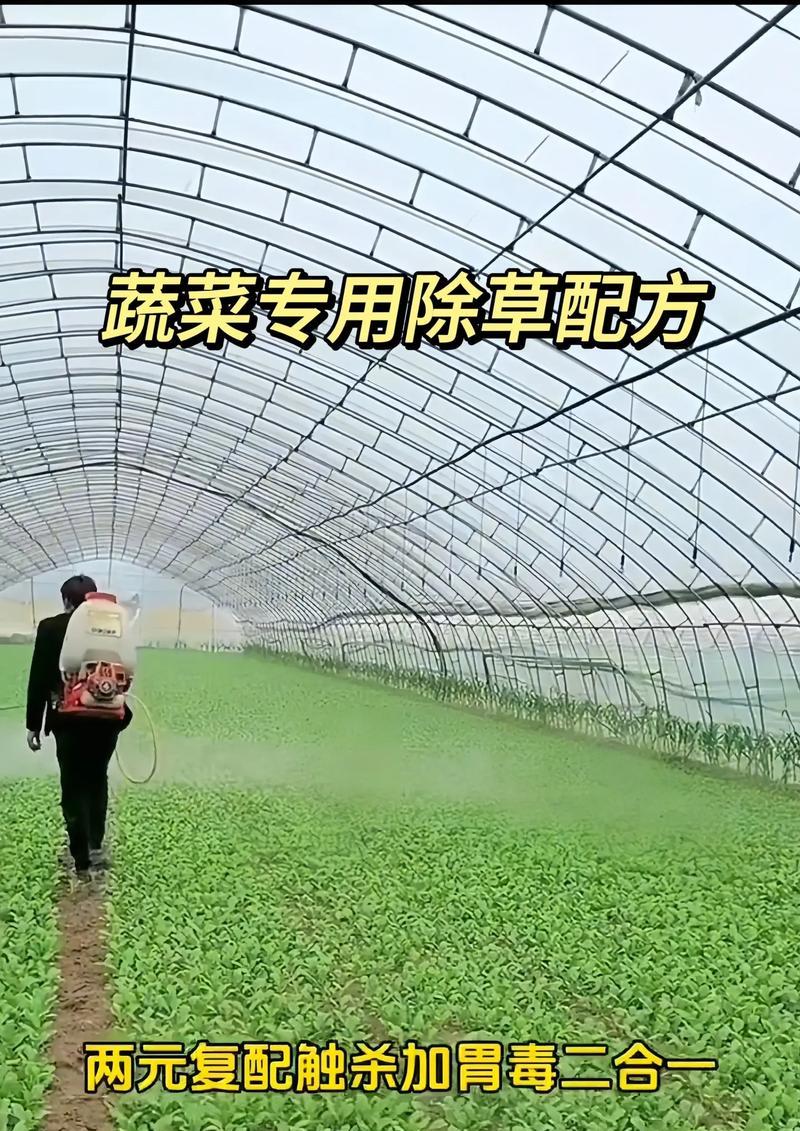 叫停农药的含义是什么？它对农业有什么影响？