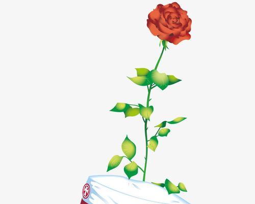 帽子上有个玫瑰花图案有何含义？代表什么？
