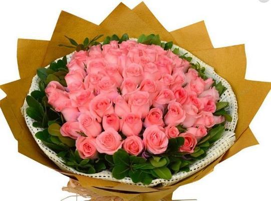 33朵粉色玫瑰花代表了什么？