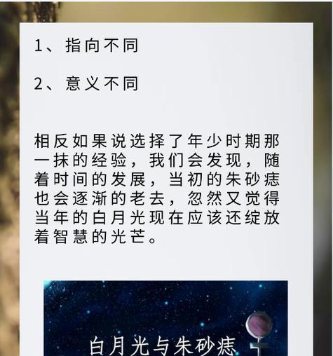 白月光与白玫瑰有何关联？白玫瑰在情感中代表什么？
