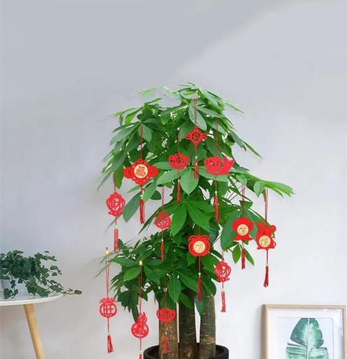 公司搬家时送什么植物好？它们的寓意和作用是什么？