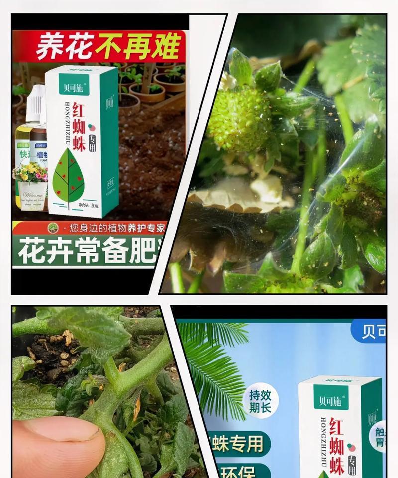 花卉绿植果蔬复合肥有哪些选择？如何正确使用复合肥？