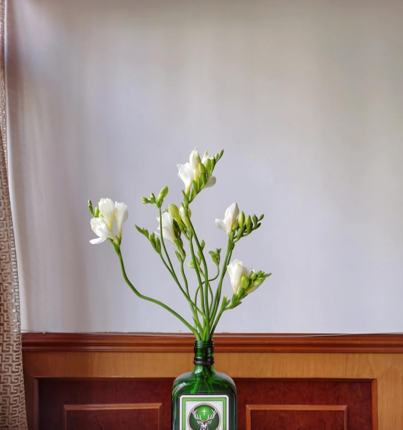 窄口花瓶适合养殖哪些花卉？