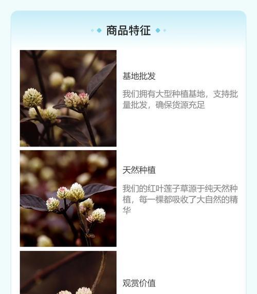 冠幅较小的植物有哪些种类？它们的生长习性如何？