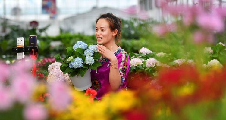 东站附近花卉直播公司有哪些？如何选择合适的花卉直播服务？