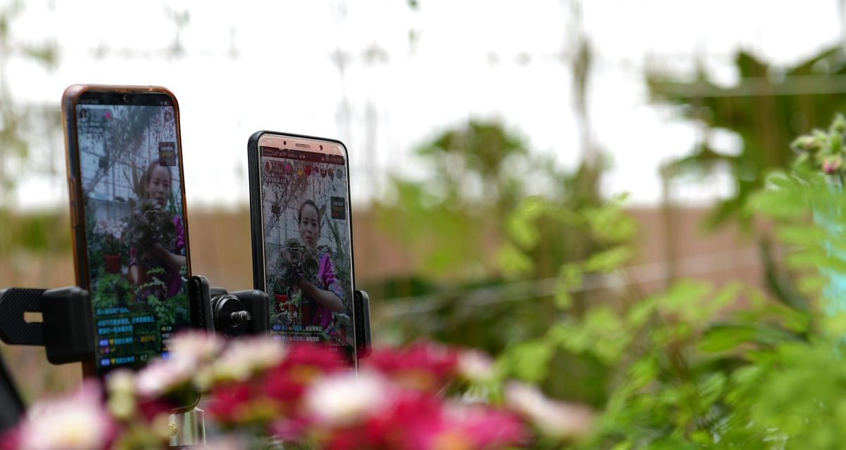 东站附近花卉直播公司有哪些？如何选择合适的花卉直播服务？