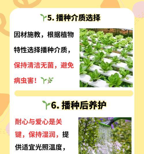 植物散播种子有哪些方式？它们是如何传播的？
