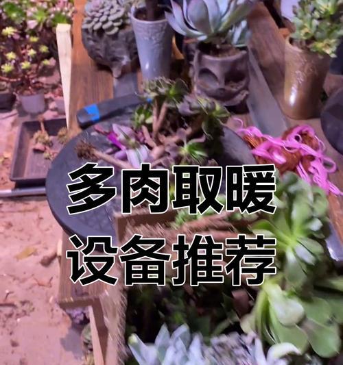 哪些植物能在地里安全过冬？它们如何抵御严寒？