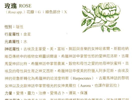 道具植物元素的使用方法是什么？道具植物元素的常见问题有哪些？