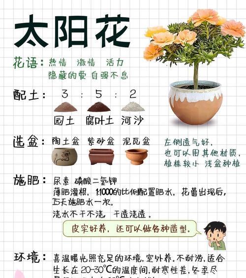 希望之村种植植物的方法是什么？有哪些注意事项？