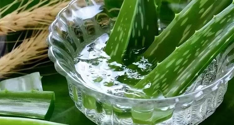 哪些植物具有去疤痕的功效？如何正确使用这些植物？
