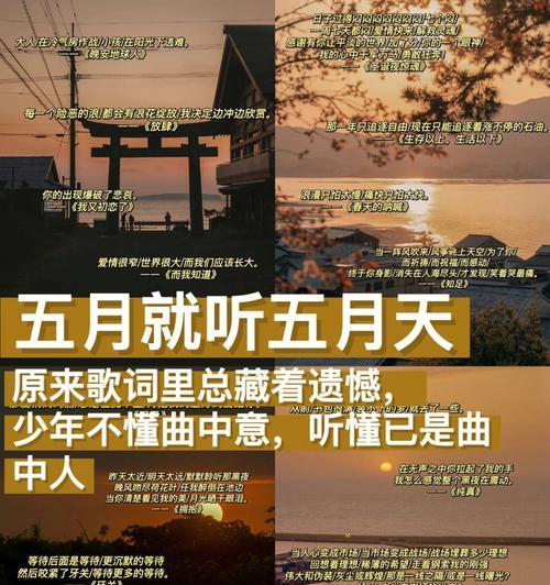 “我是做花卉的丫头”是哪首歌？这首歌的歌词内容是什么？