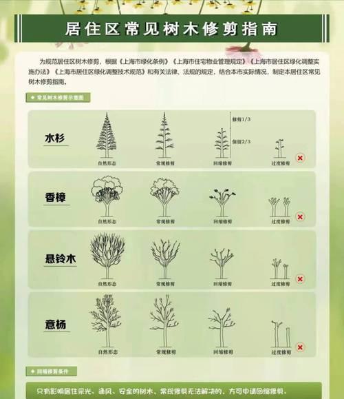 如何判断植物根系是否发达？根系发达对植物有何影响？