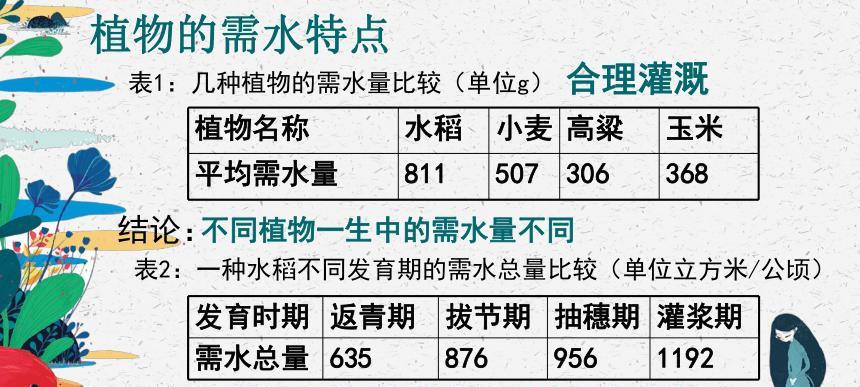 植物需要加碳肥水吗？如何正确添加？