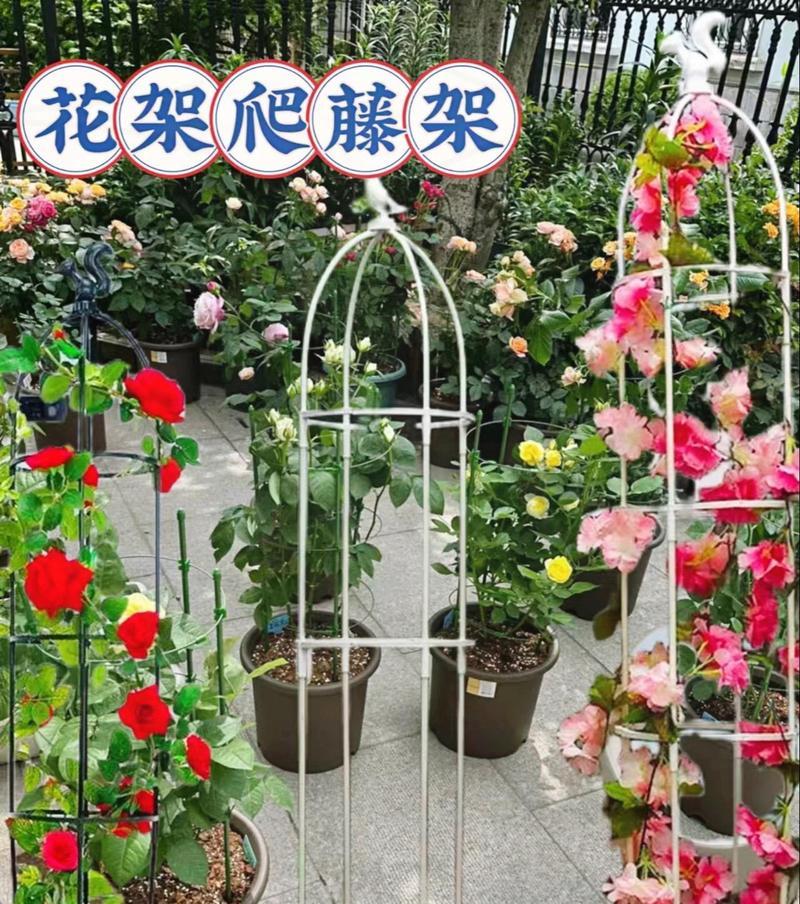 植物阶梯景观有哪些设计？如何打造美丽的阶梯花园？