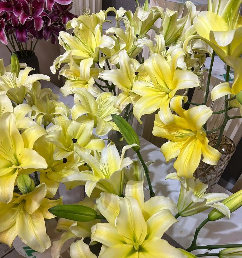 黄百合和什么搭配好插花？有哪些美观的组合？
